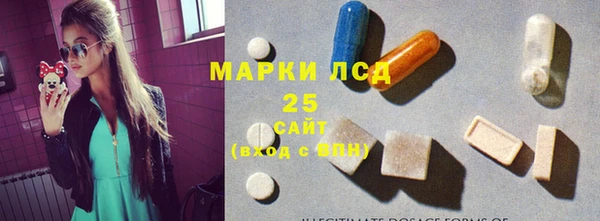 индика Переславль-Залесский