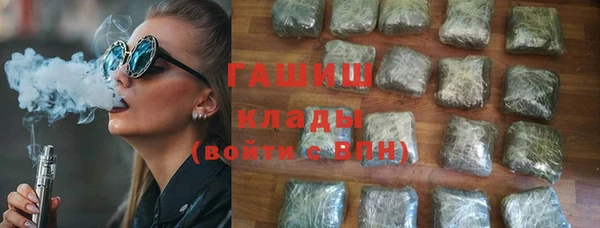 индика Переславль-Залесский
