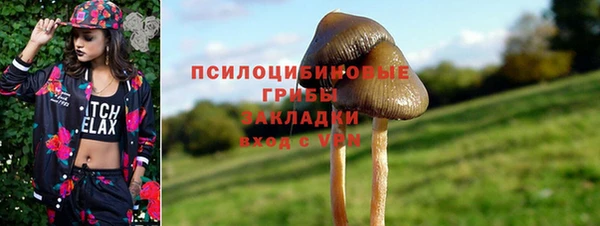 герыч Тихвин