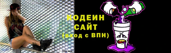прущий лед Пестово