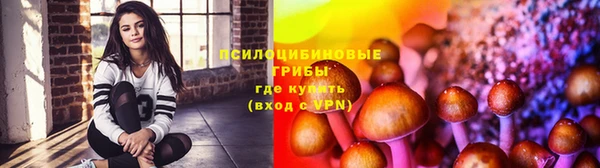 спайс Пересвет