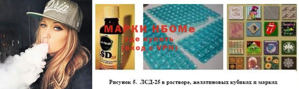 индика Переславль-Залесский
