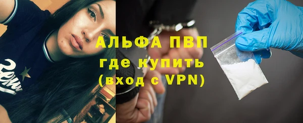 индика Переславль-Залесский