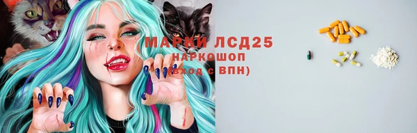 прущий лед Пестово