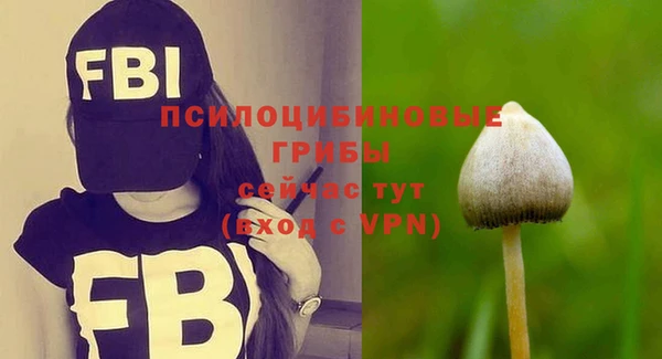 герыч Тихвин