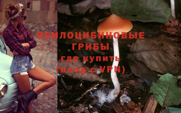 индика Переславль-Залесский
