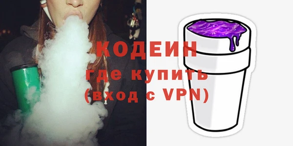 хмурый Тында