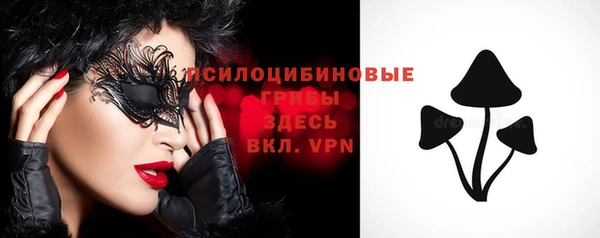 прущий лед Пестово