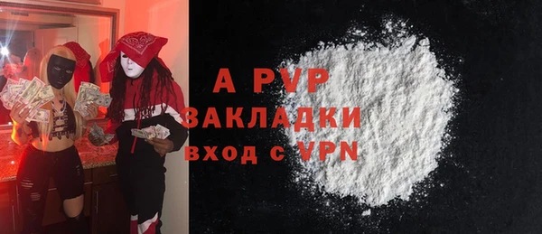 индика Переславль-Залесский